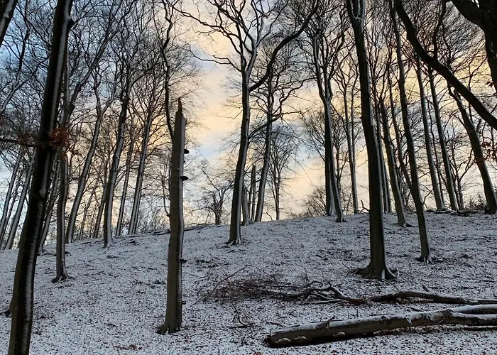 Ruhiges 度假居 万德利茨